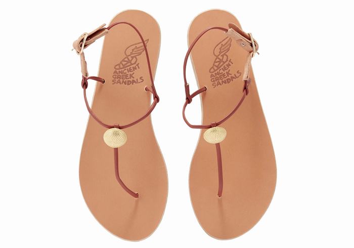 Sandales Bride Arrière Ancient Greek Sandals Dimitra Flip Flop   | KGY-8276303